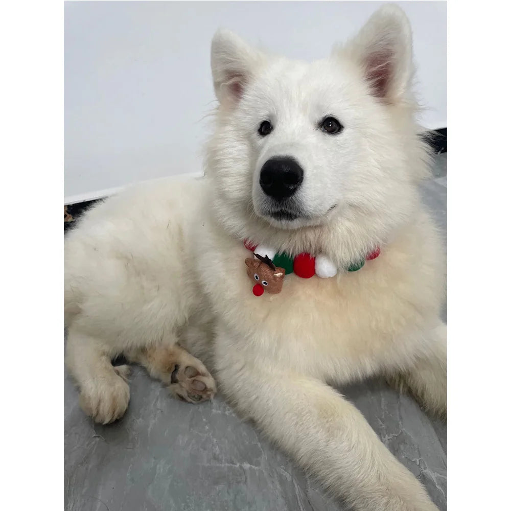 12-Piece Christmas Pet Bow Tie Set – Festive and Stylish Accessories