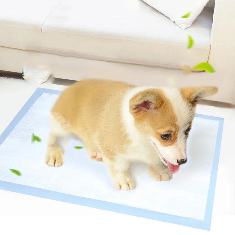 Super Absorbent Disposable Pet Pads – Leakproof & Convenient