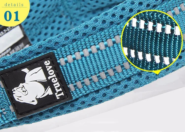 Durable 3M Reflective Dog Collar with Secure Fit