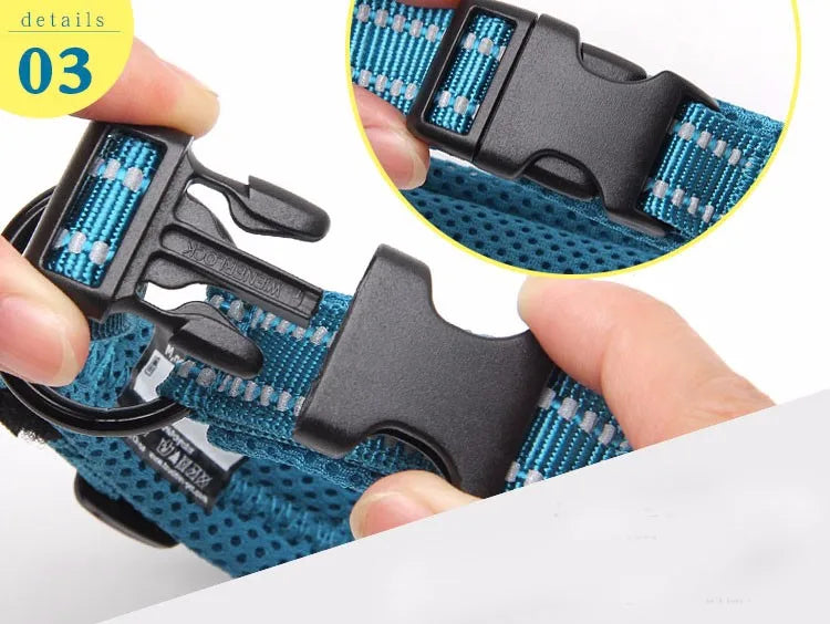 Durable 3M Reflective Dog Collar with Secure Fit