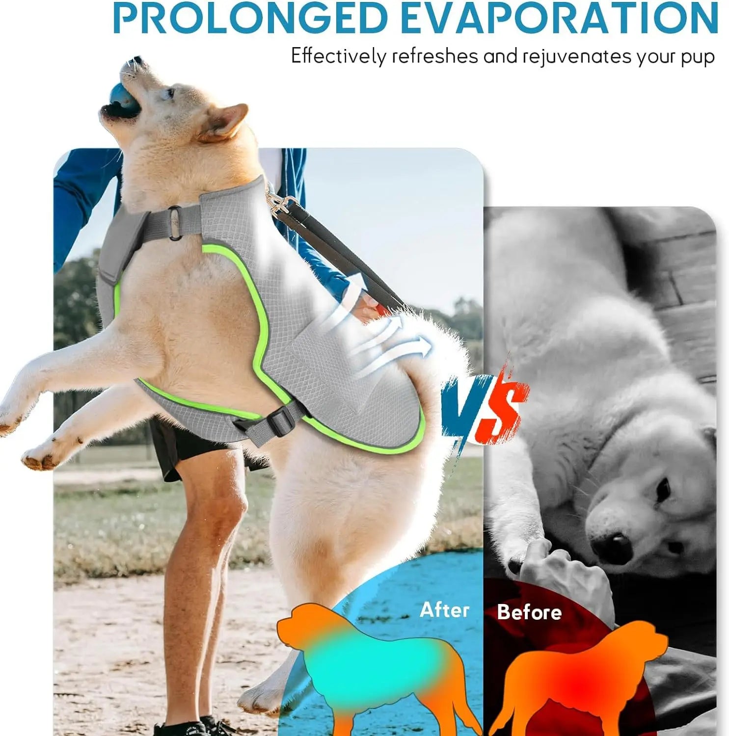 Cooling Dog Vest with Ice Pack – Breathable, Reflective & Adjustable Summer Harness