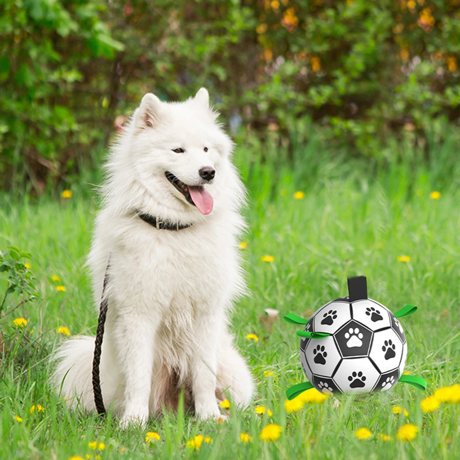 Interactive Soccer Ball Toy for Dogs – Lightweight with Nylon Ribbons for Tug Play