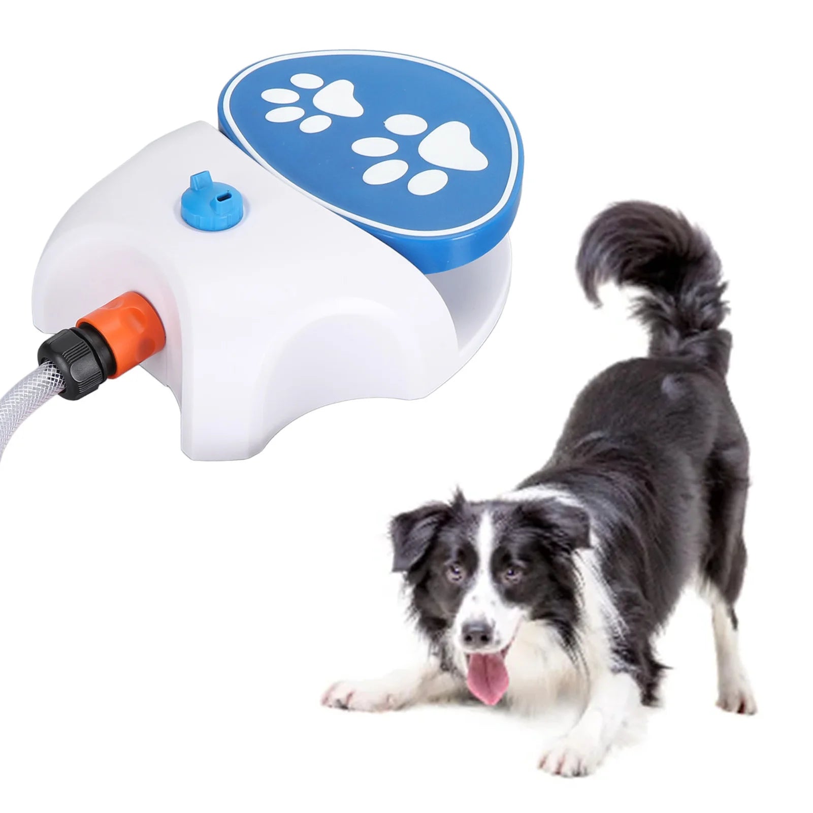 Paw-Activated Outdoor Dog Water Fountain – Step-On Dispenser with Hose