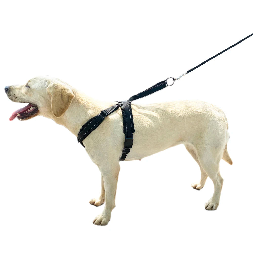 Durable Reflective Dog Halter Harness with Secure Fit