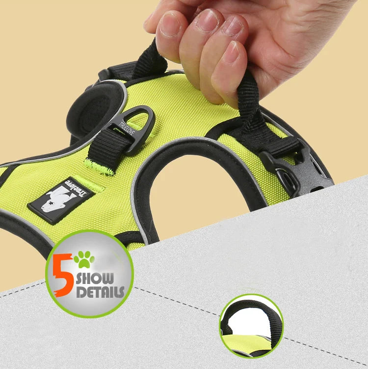 Durable 3M Reflective Dog Vehicle Harness with Secure Fit