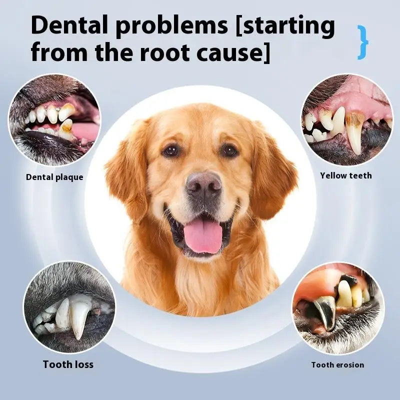 5-Speed Ultrasonic Pet Dental Scaler – Comprehensive Tooth Cleaning Kit