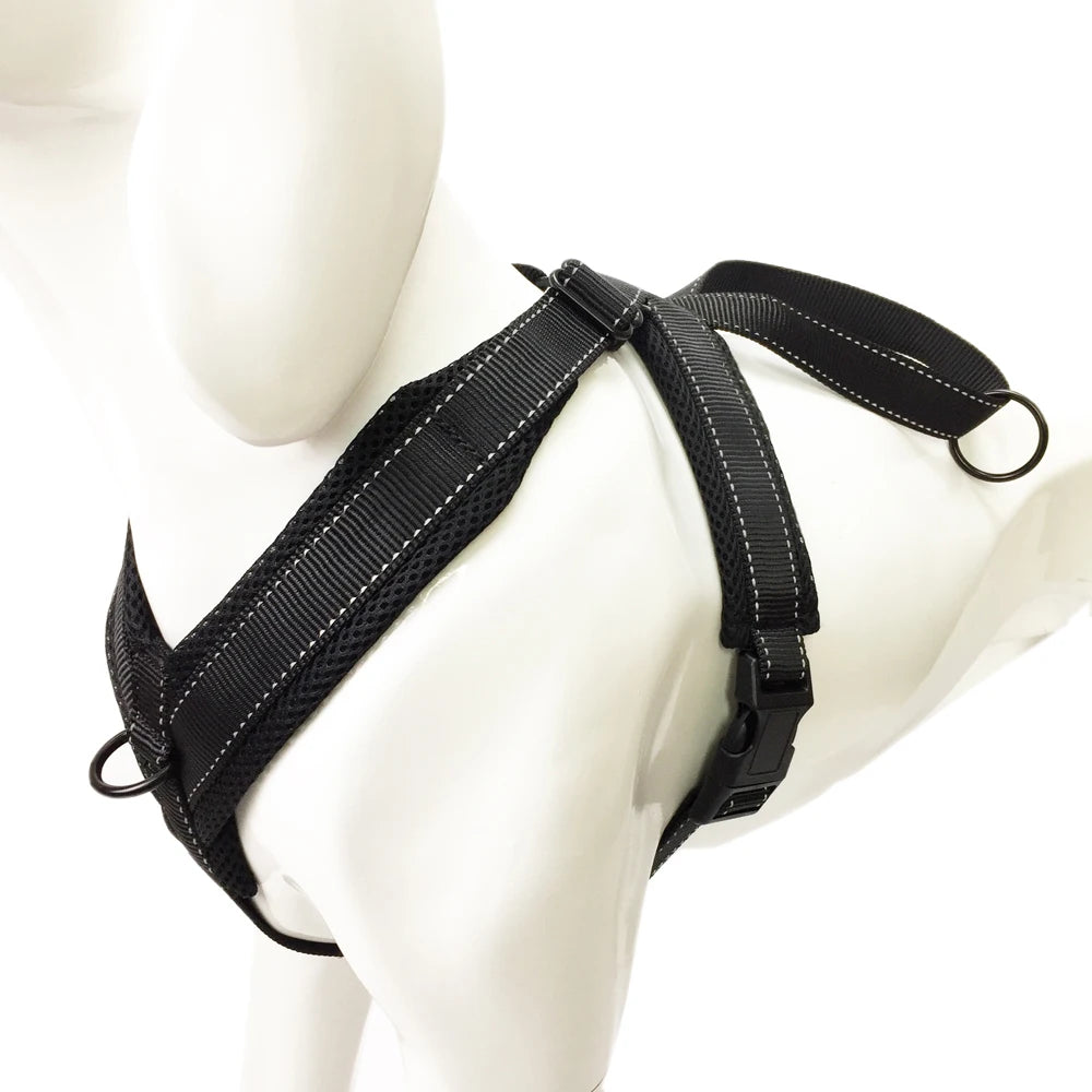 49120111001885|49120111034653|49120111100189|49120111231261