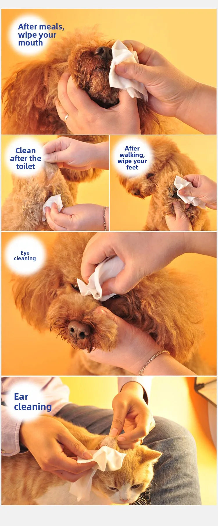 Pet-Specific Wet Wipes for Cats and Dogs – Odor-Eliminating Bottom Cleaning Wipes (100 Sheets)