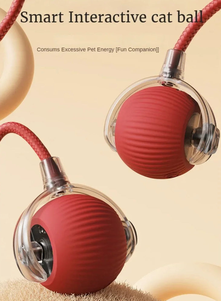 Rechargeable interactive rolling ball for cats and dogs with smart motion, quiet operation, and simulated tail for indoor pet play.