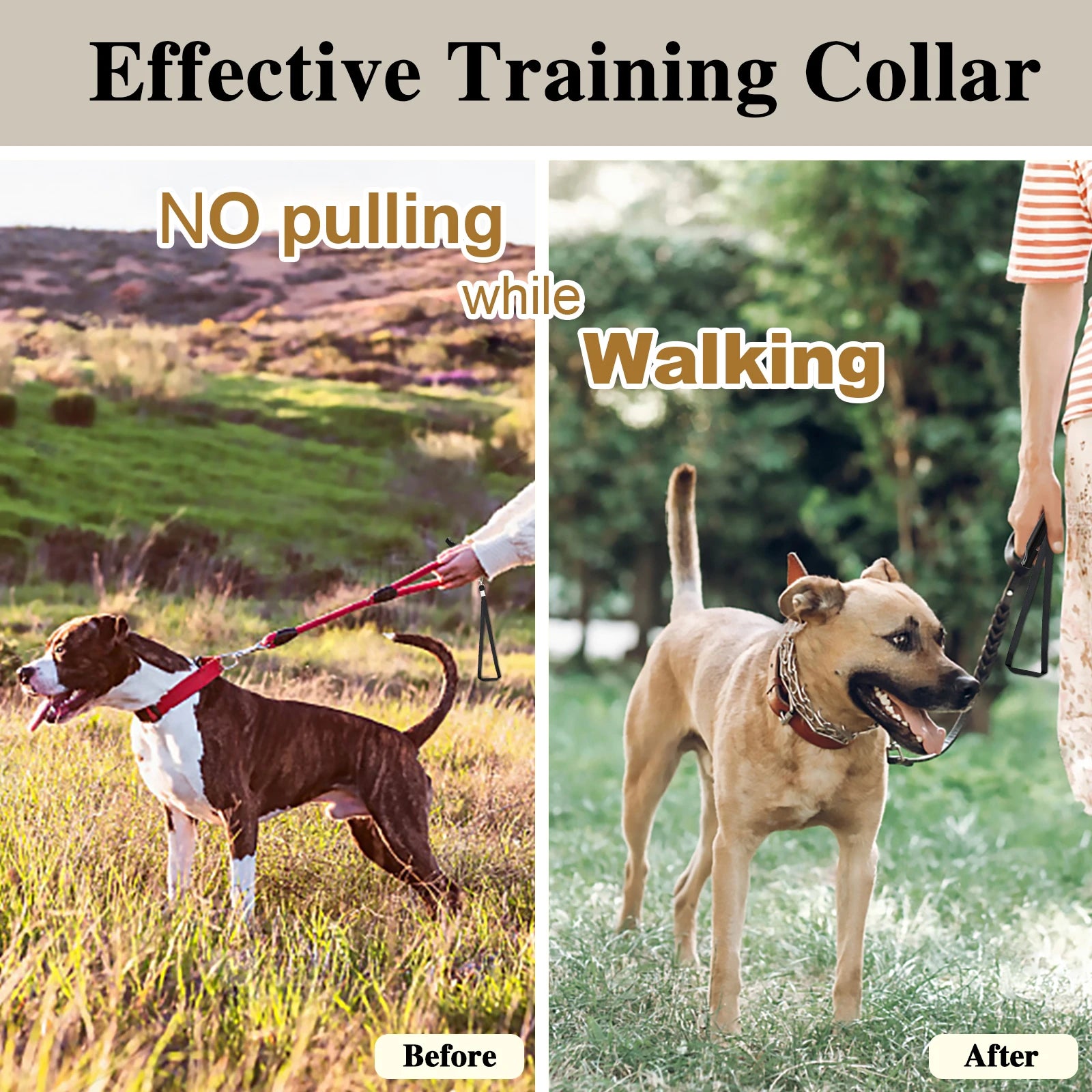 Stainless Steel Prong Pinch Dog Collar with Quick Release – Adjustable No-Pull Training Collar