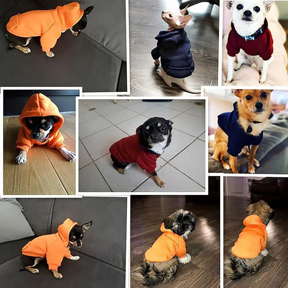 Puppy Pet Hooded Sweatshirt with Pocket for Autumn/Winter