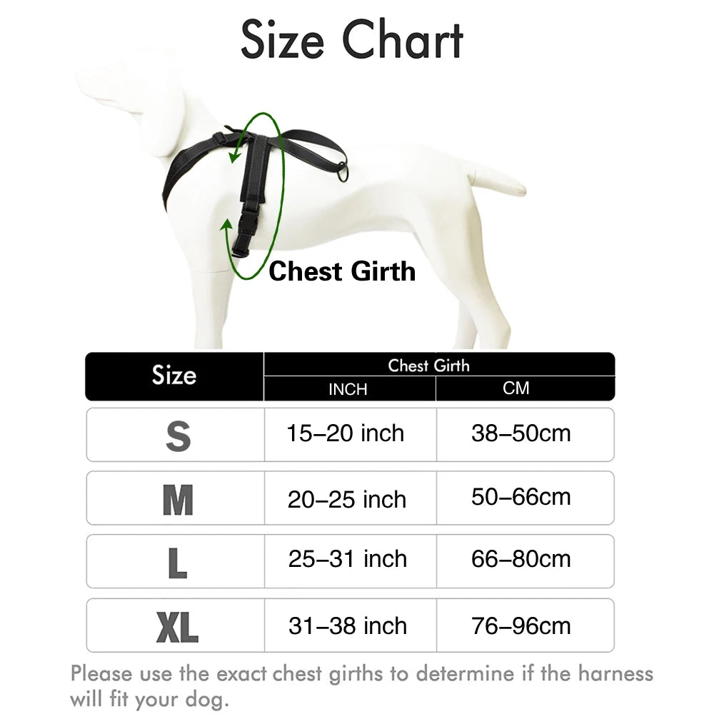 Durable Reflective Dog Halter Harness with Secure Fit