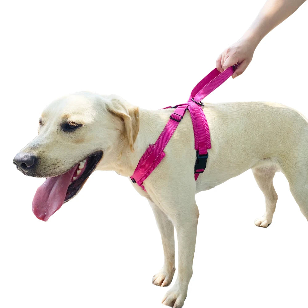 Durable Reflective Dog Halter Harness with Secure Fit
