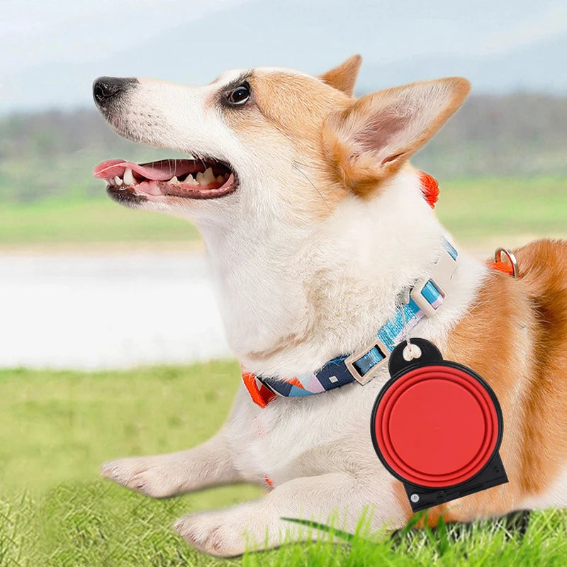 Collapsible Double Pet Bowl – Portable, Foldable & Perfect for Travel
