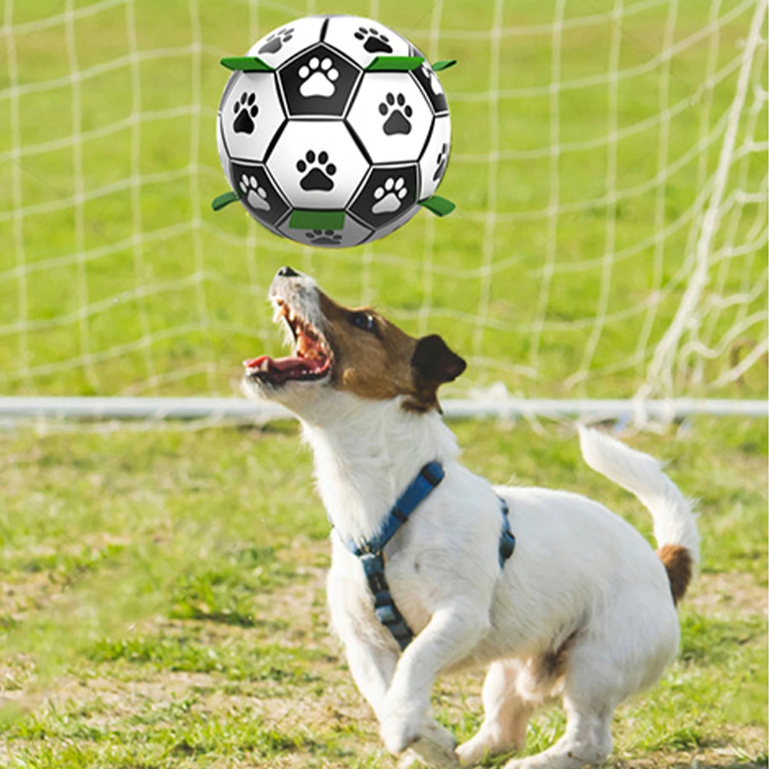 Interactive Soccer Ball Toy for Dogs – Lightweight with Nylon Ribbons for Tug Play