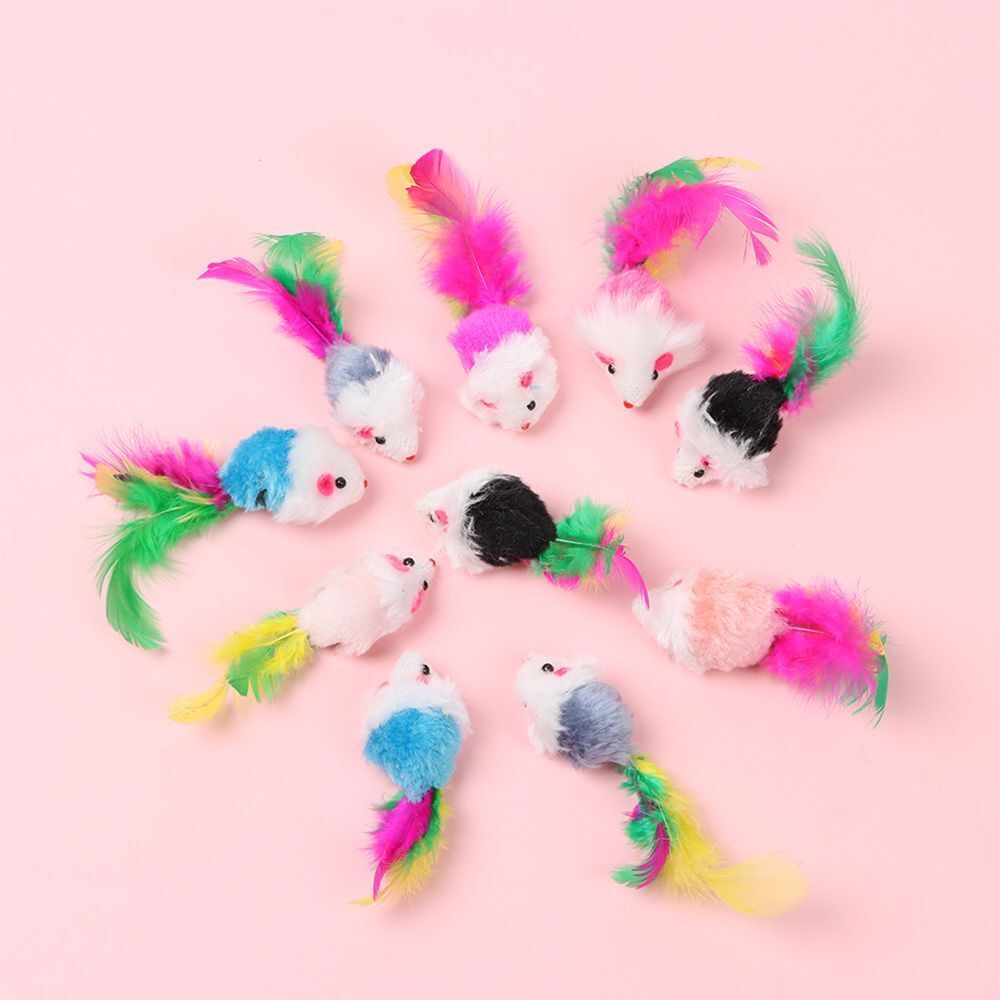 Plush & Feather Cat Toy Sets – Lightweight, Durable, and Entertaining