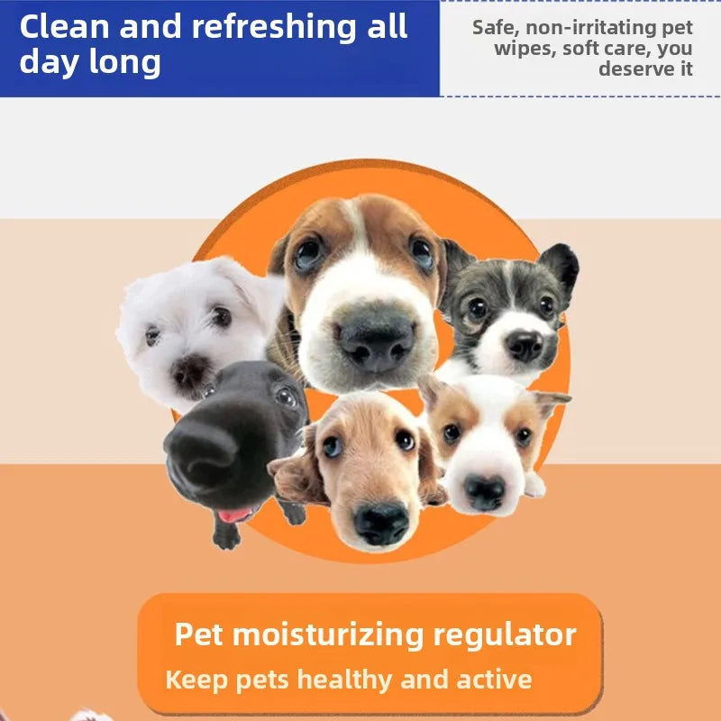 Pack of 100 pet wipes for dogs and cats, designed to gently clean bottoms, paws, and fur, with odor elimination and hypoallergenic formula.