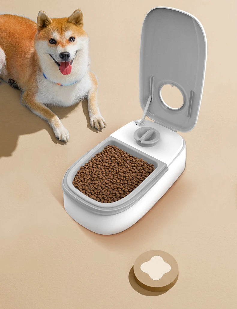 Automatic Pet Feeder with Timer – 350ml Capacity for Wet & Dry Food