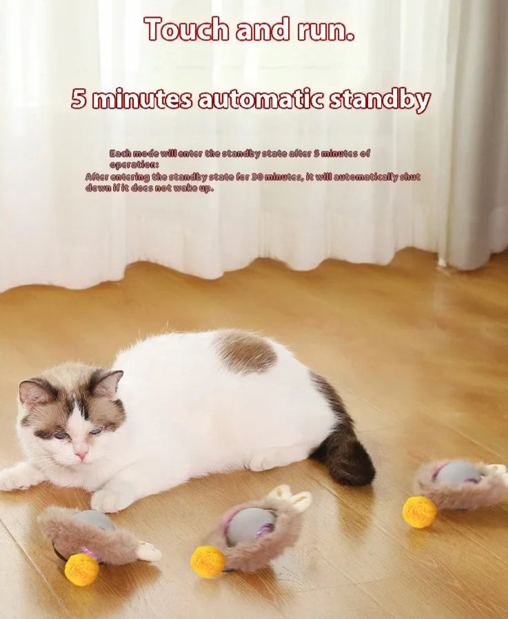 Rechargeable interactive rolling ball for cats and dogs with smart motion, quiet operation, and simulated tail for indoor pet play.