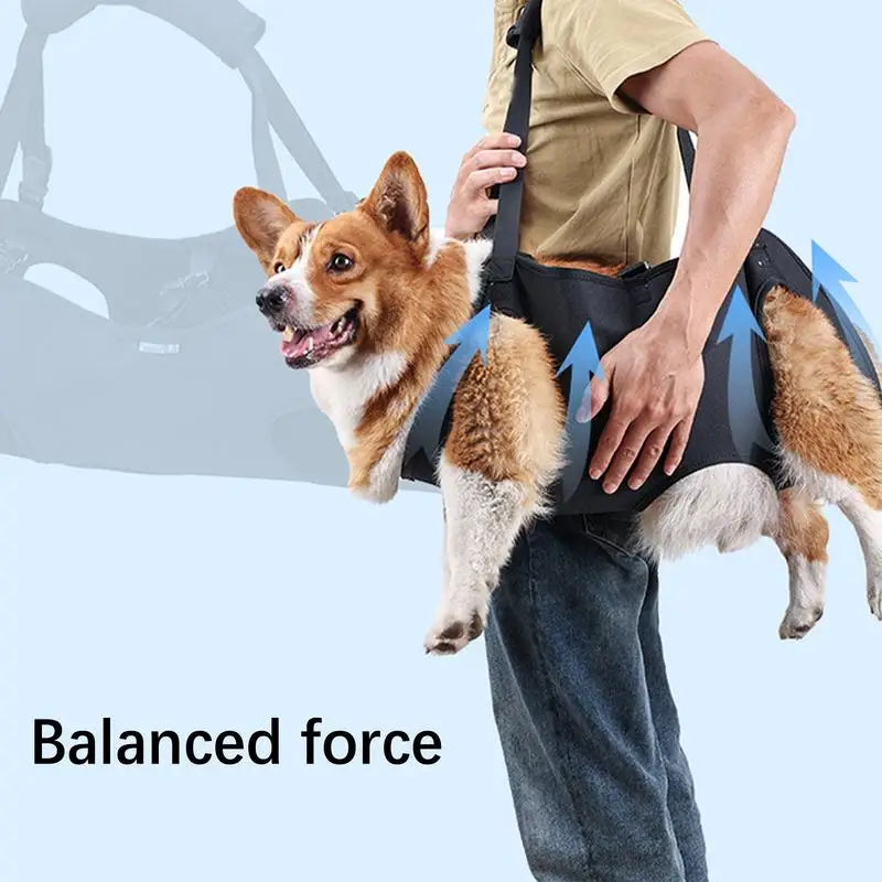 Pet Rehabilitation Sling/Carrying Harness for Injured and Elderly Dogs