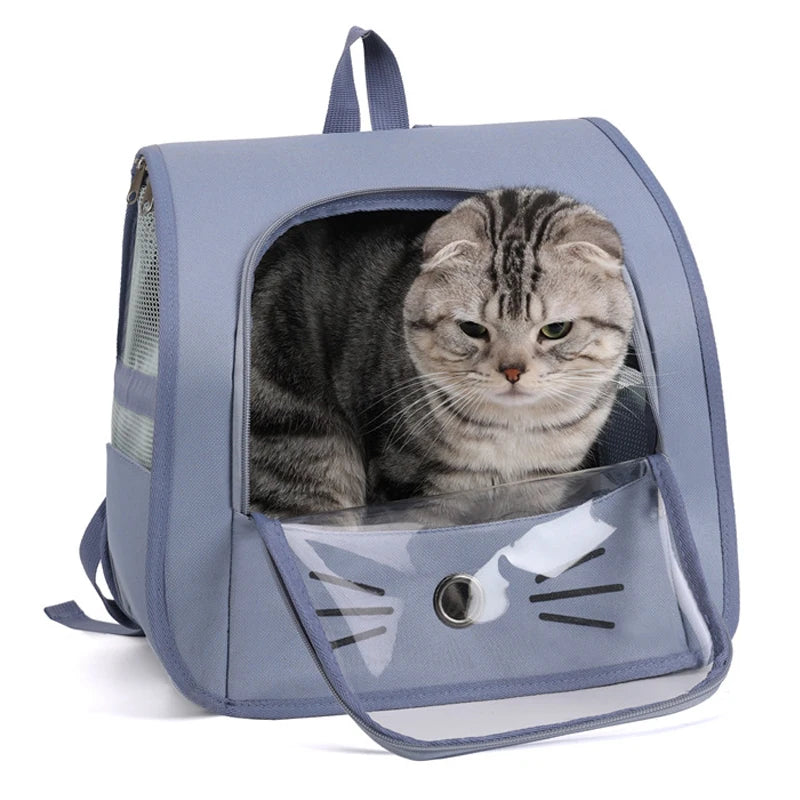 Transparent portable travel backpack for cats and small dogs, breathable shoulder carrier with mesh sides and front window for pet travel comfort.
