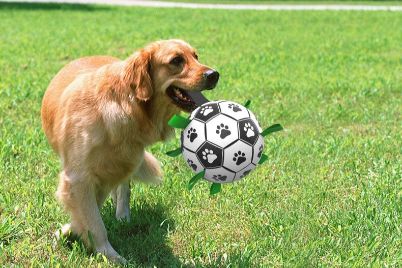 Interactive Soccer Ball Toy for Dogs – Lightweight with Nylon Ribbons for Tug Play