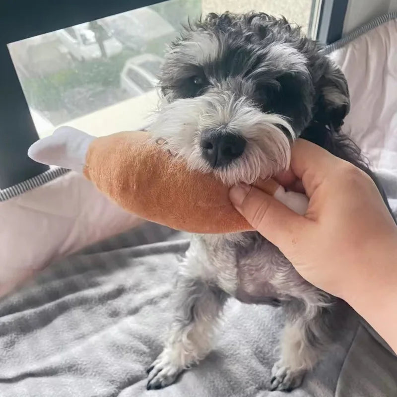 Soft Squeaky Dog Toy – Durable, Bite-Resistant, & Perfect for Small Pets
