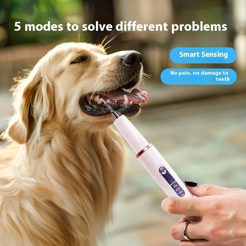 5-Speed Ultrasonic Pet Dental Scaler – Comprehensive Tooth Cleaning Kit