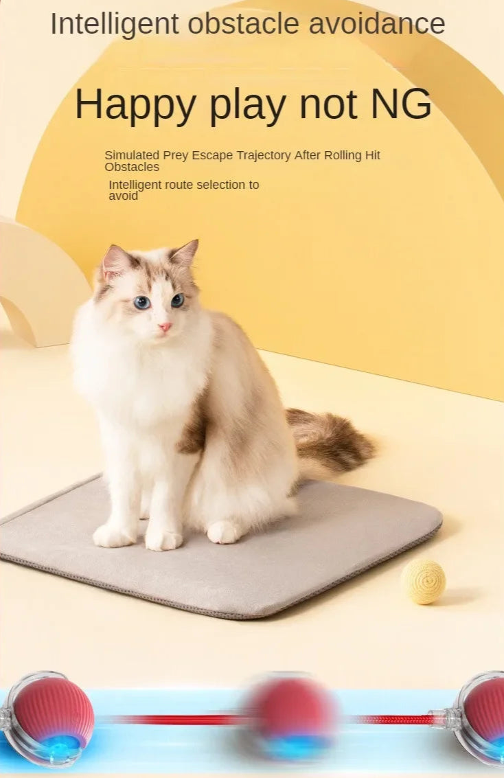 Rechargeable interactive rolling ball for cats and dogs with smart motion, quiet operation, and simulated tail for indoor pet play.