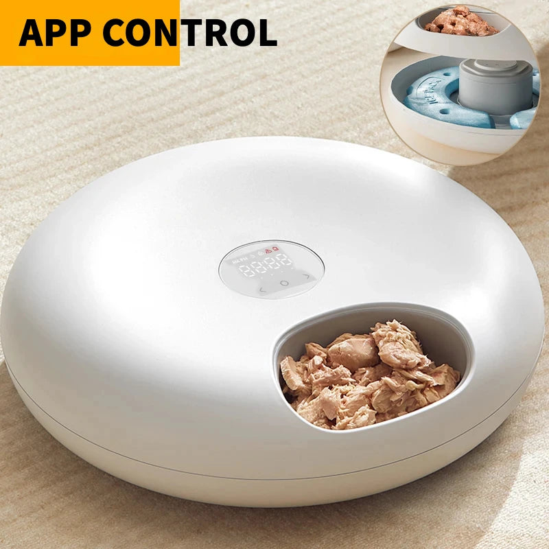 6-Meal Smart Pet Feeder – App-Controlled, Automatic, & Keeps Food Fresh