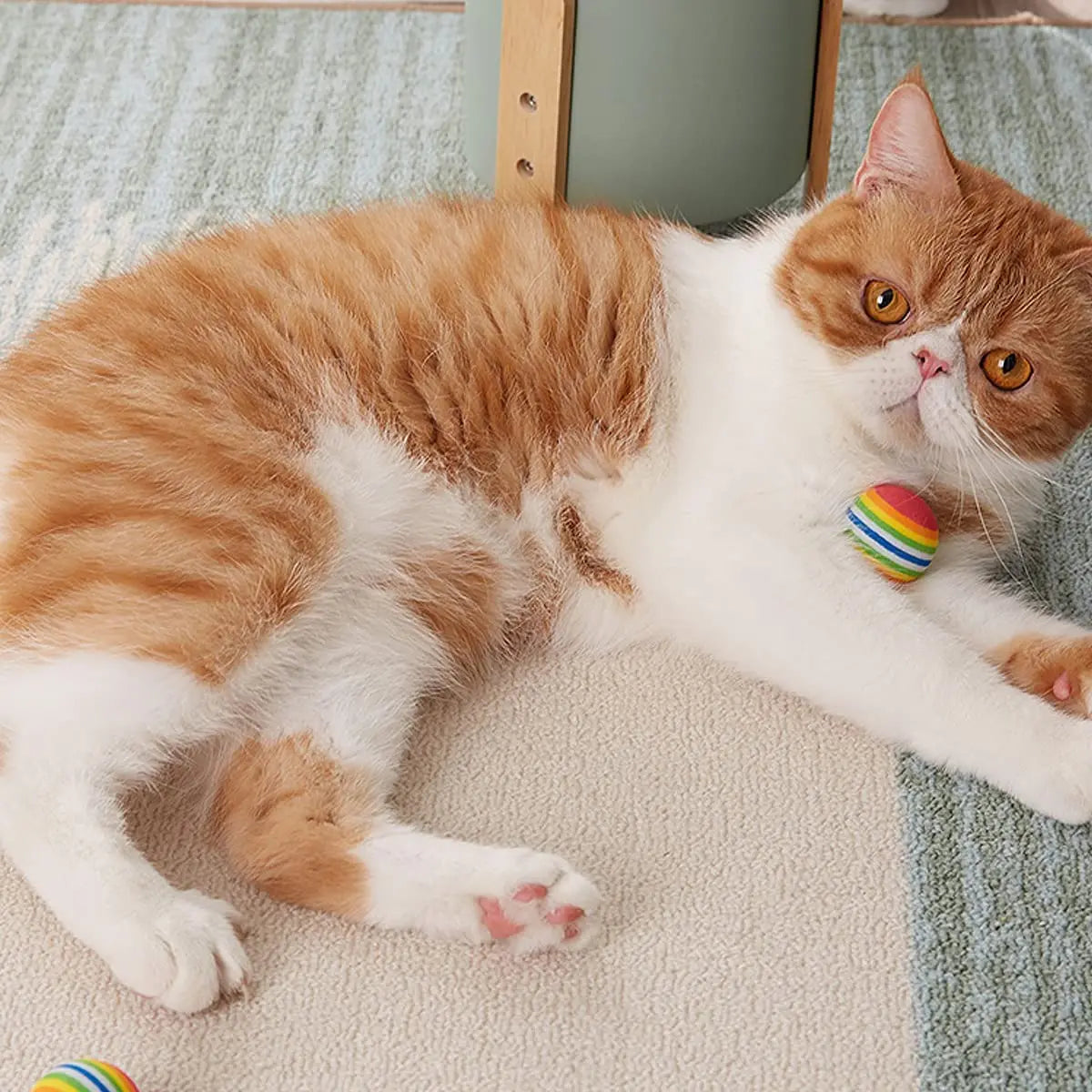 Plush & Feather Cat Toy Sets – Lightweight, Durable, and Entertaining