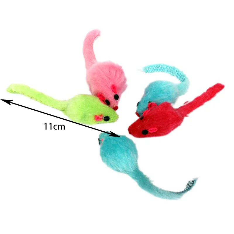 49400397529373|49400397660445|49400397857053