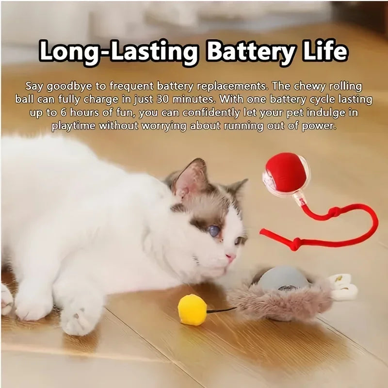 Rechargeable interactive rolling ball for cats and dogs with smart motion, quiet operation, and simulated tail for indoor pet play.