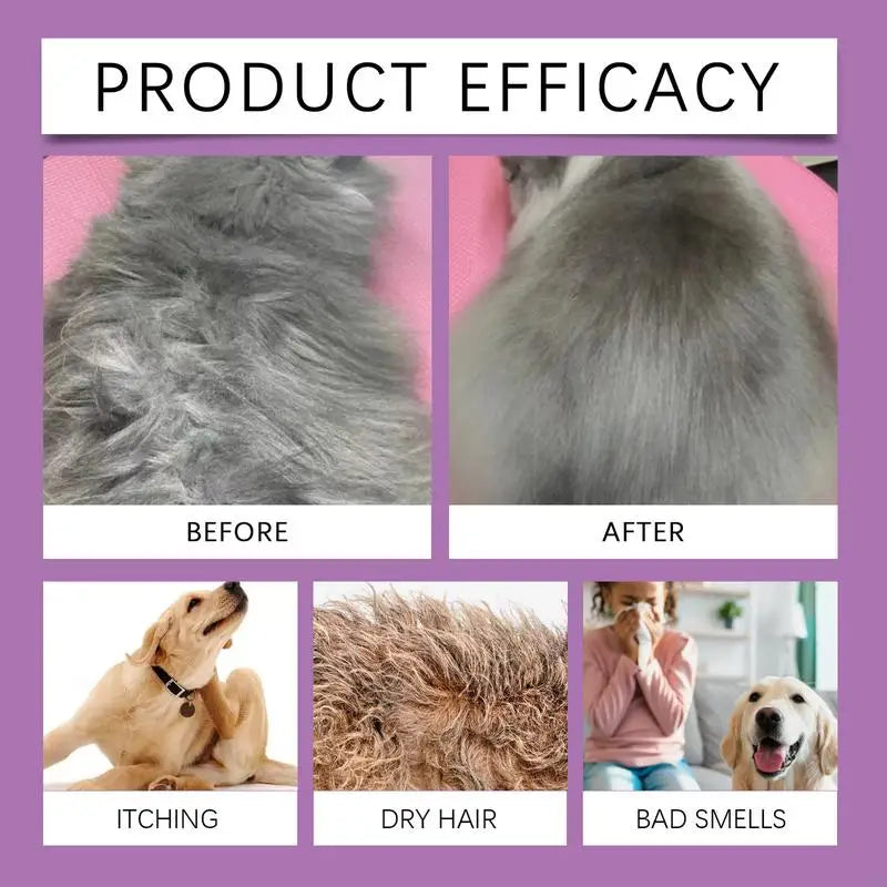 Natural Lavender Pet Shampoo & Conditioner – Gentle, Plant-Based, Moisturizing & Soothing