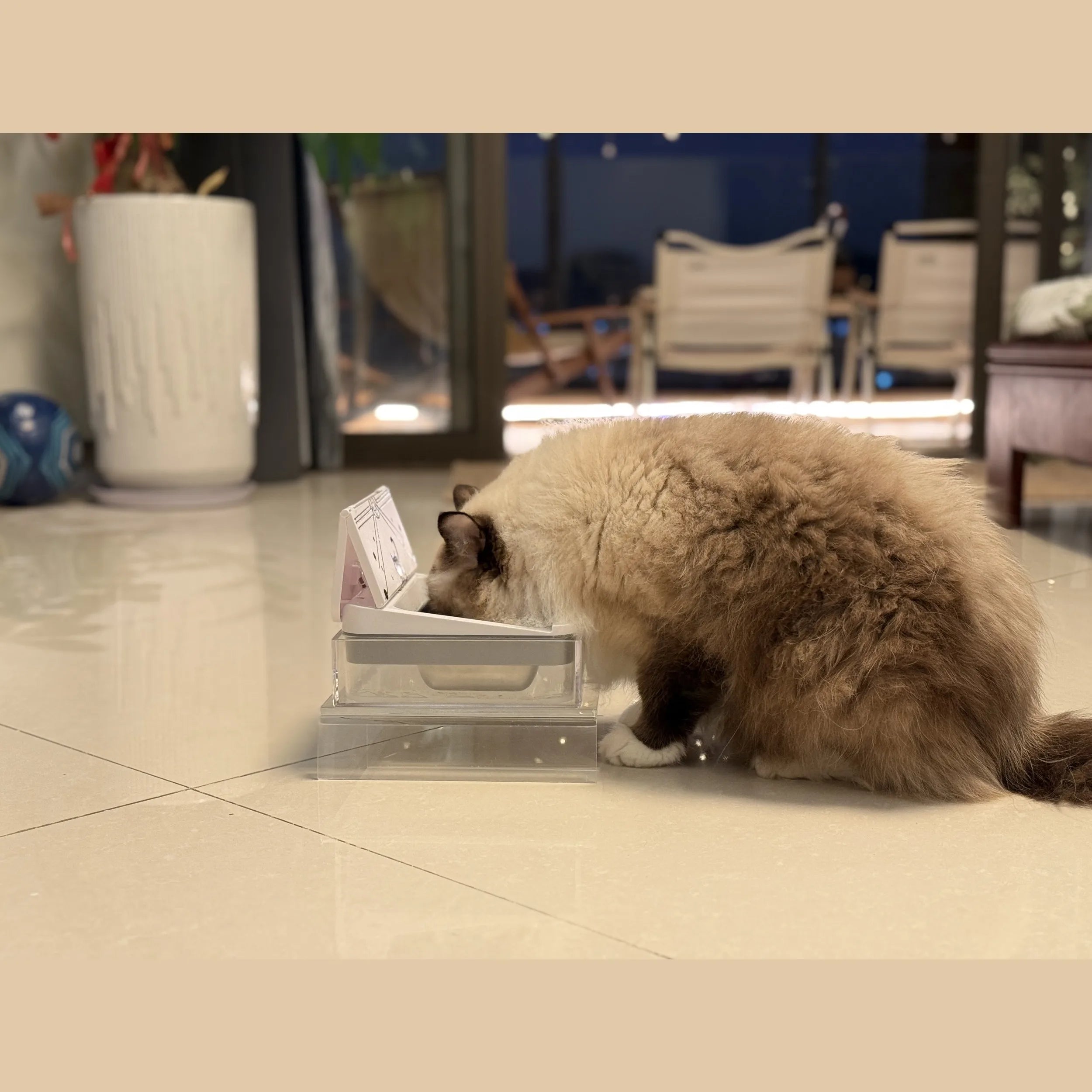 Smart RFID Cat Feeder – Automatic, Rechargeable & Infrared-Sensing