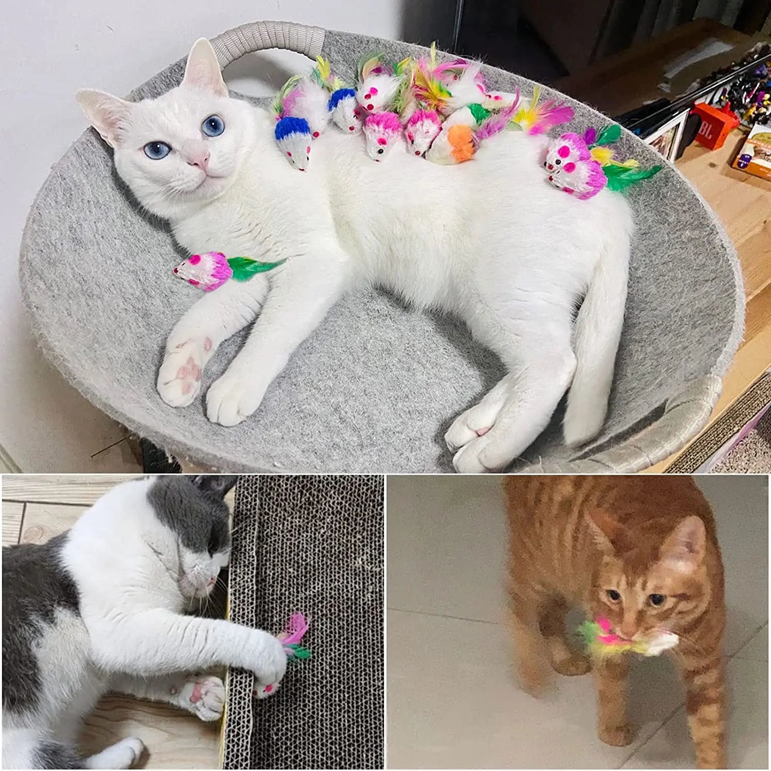 Plush & Feather Cat Toy Sets – Lightweight, Durable, and Entertaining