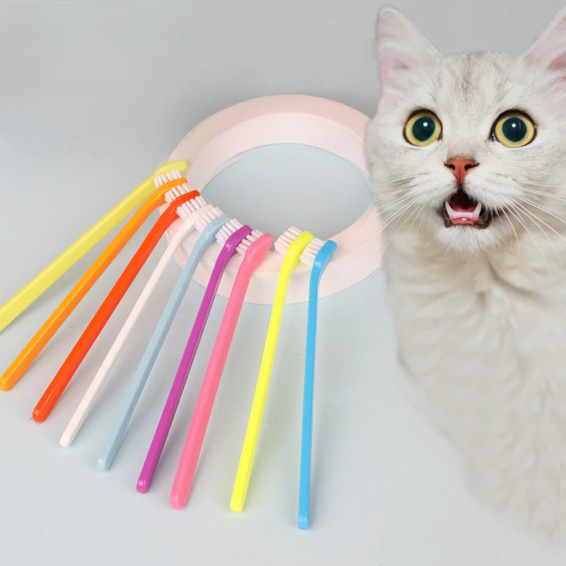 Durable Pet Toothbrush Set – 10 Pieces, Gentle and Strong