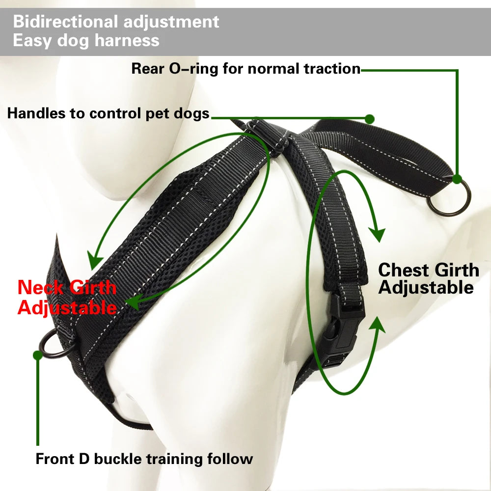 Durable Reflective Dog Halter Harness with Secure Fit