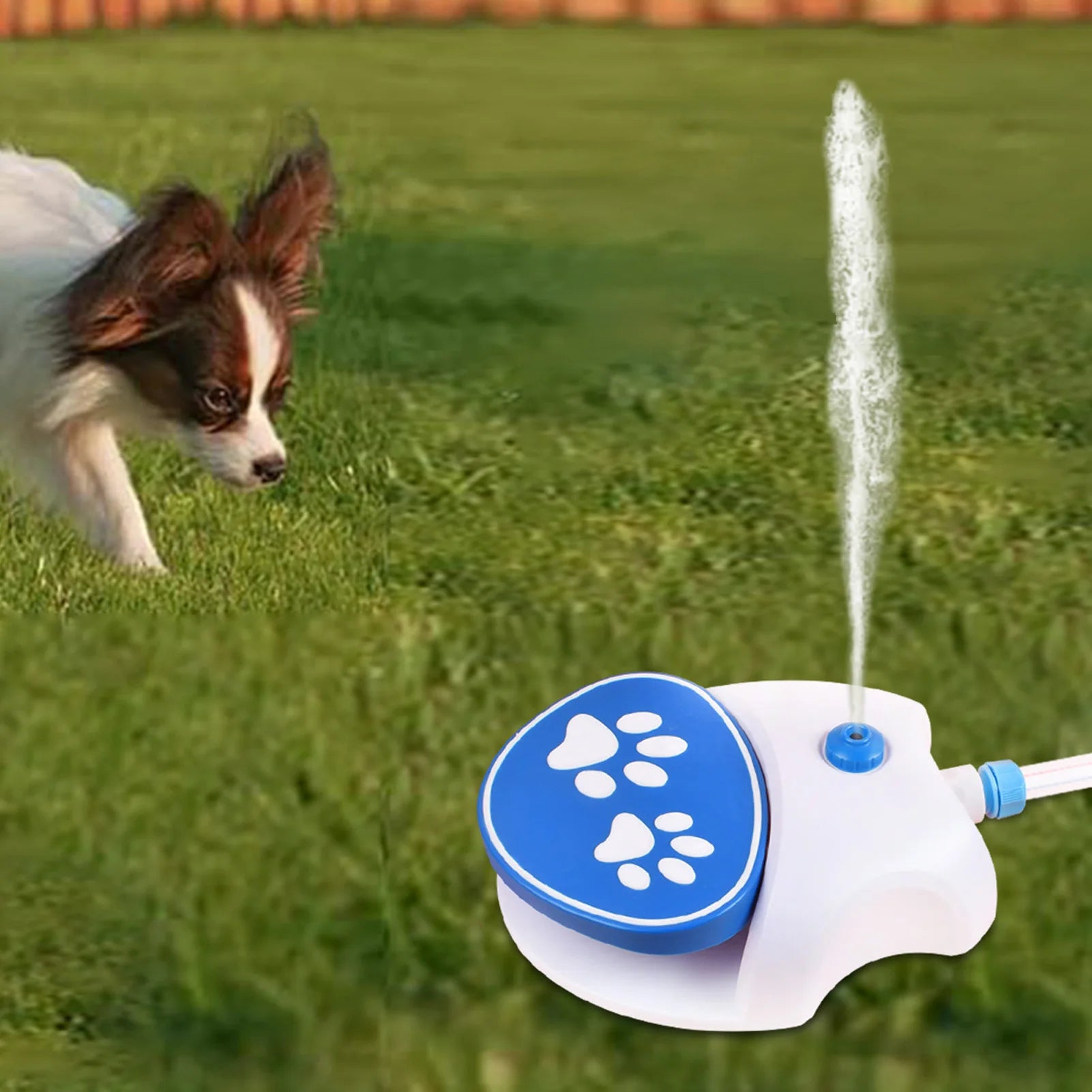 Paw-Activated Outdoor Dog Water Fountain – Step-On Dispenser with Hose