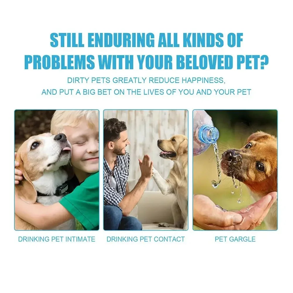 Edible pet toothpaste for cats and dogs in a tube, safe for daily use, with enzymatic formula and no-rinse application for fresh breath and clean teeth.