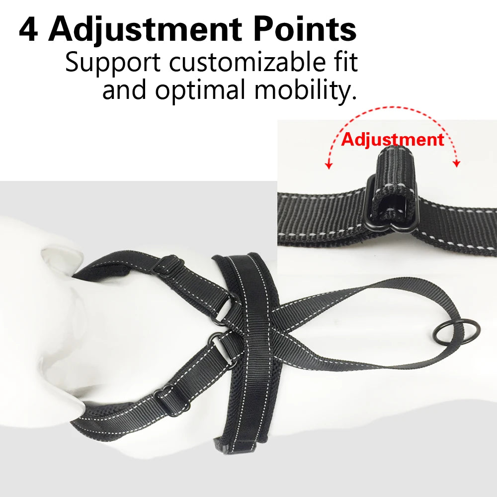 Durable Reflective Dog Halter Harness with Secure Fit