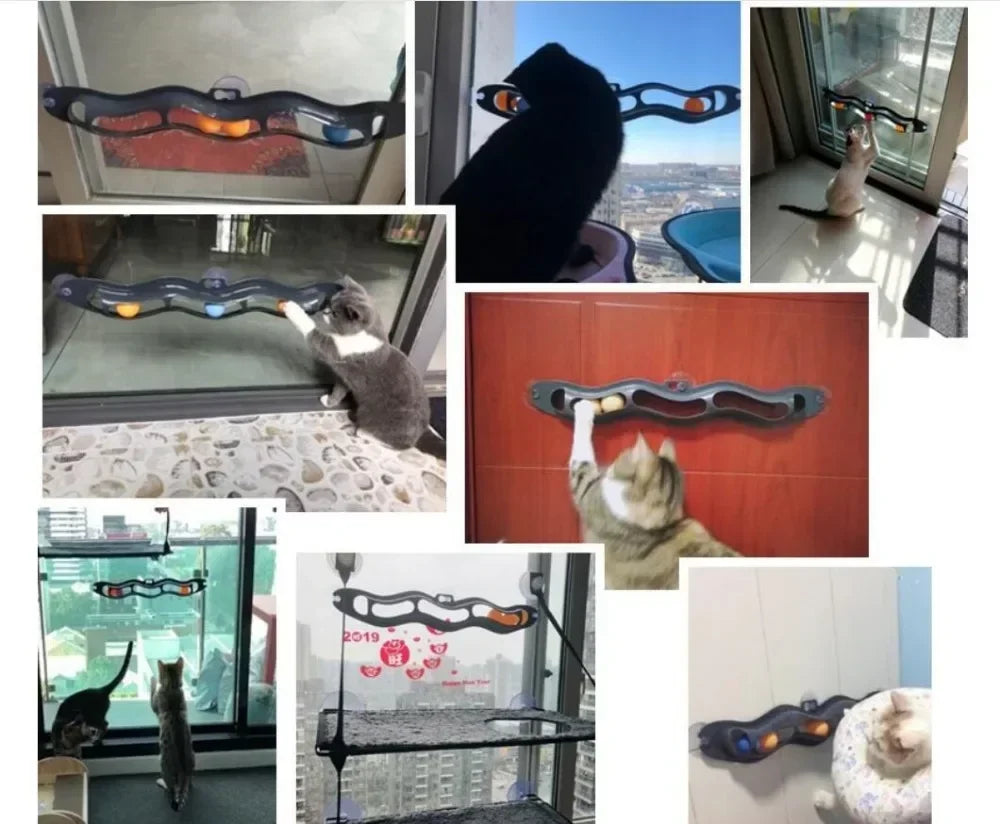 Curved Wall-Mounted Cat Track Toy – with Suction Cups & Ping Pong Balls
