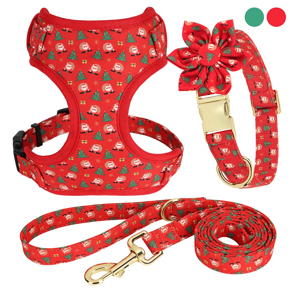 49407555895581|49407556059421|49407556124957