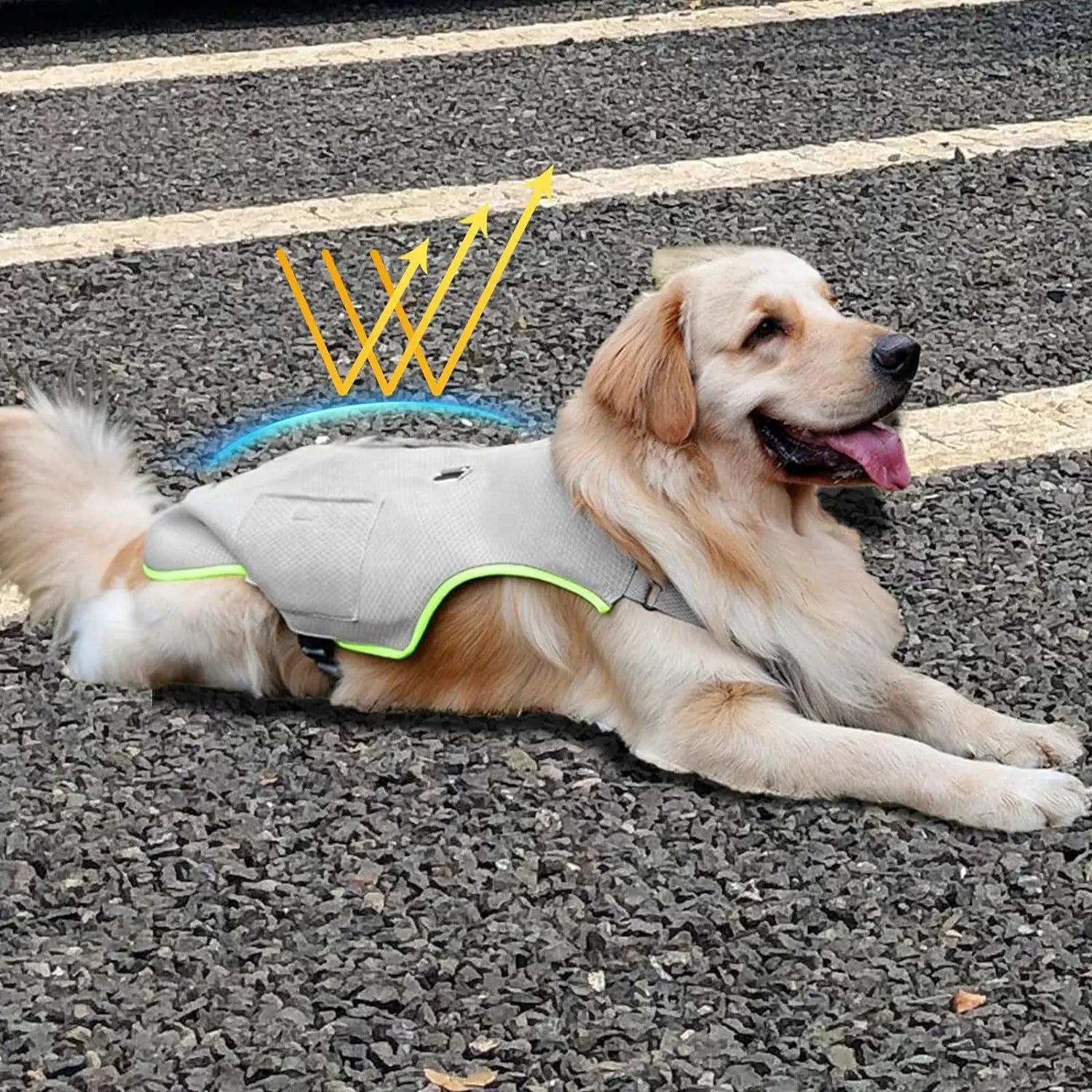 Cooling Dog Vest with Ice Pack – Breathable, Reflective & Adjustable Summer Harness