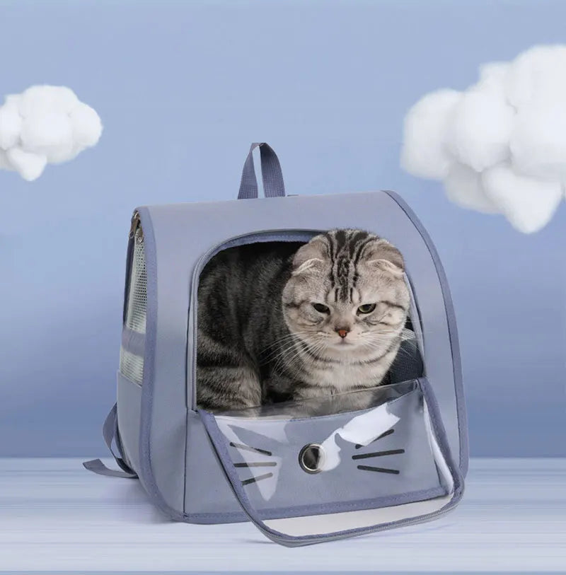 Transparent portable travel backpack for cats and small dogs, breathable shoulder carrier with mesh sides and front window for pet travel comfort.
