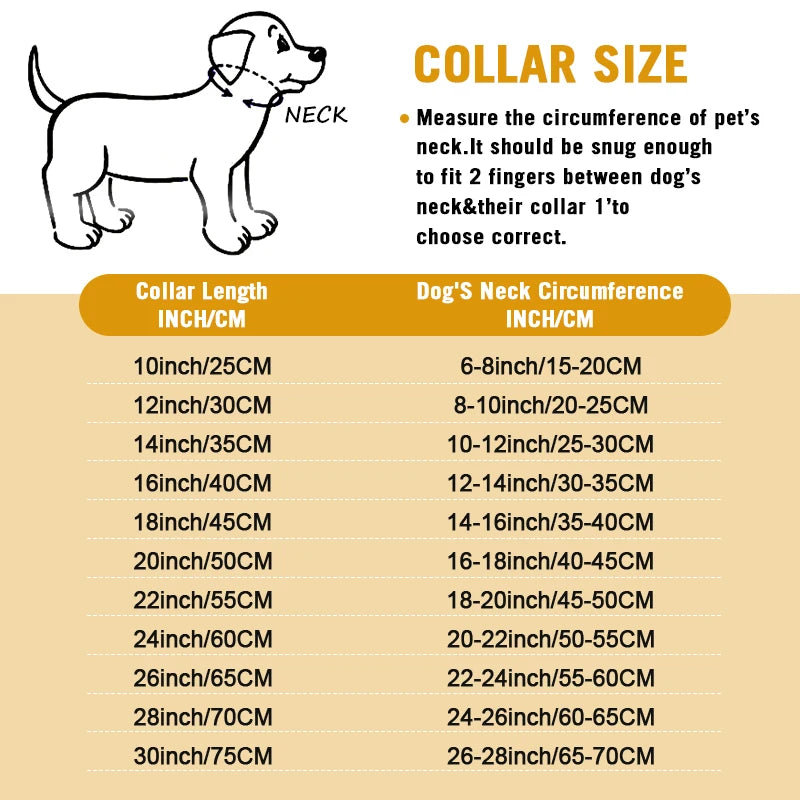 Heavy-Duty Dog Chain Collar – Stainless Steel Choke Slip Collar for Training & Control