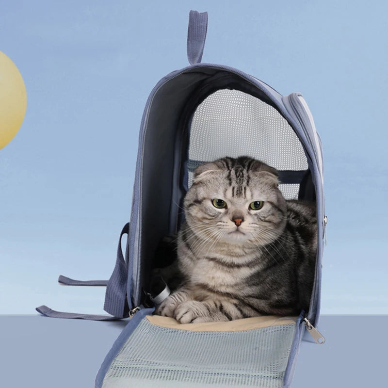 Transparent portable travel backpack for cats and small dogs, breathable shoulder carrier with mesh sides and front window for pet travel comfort.