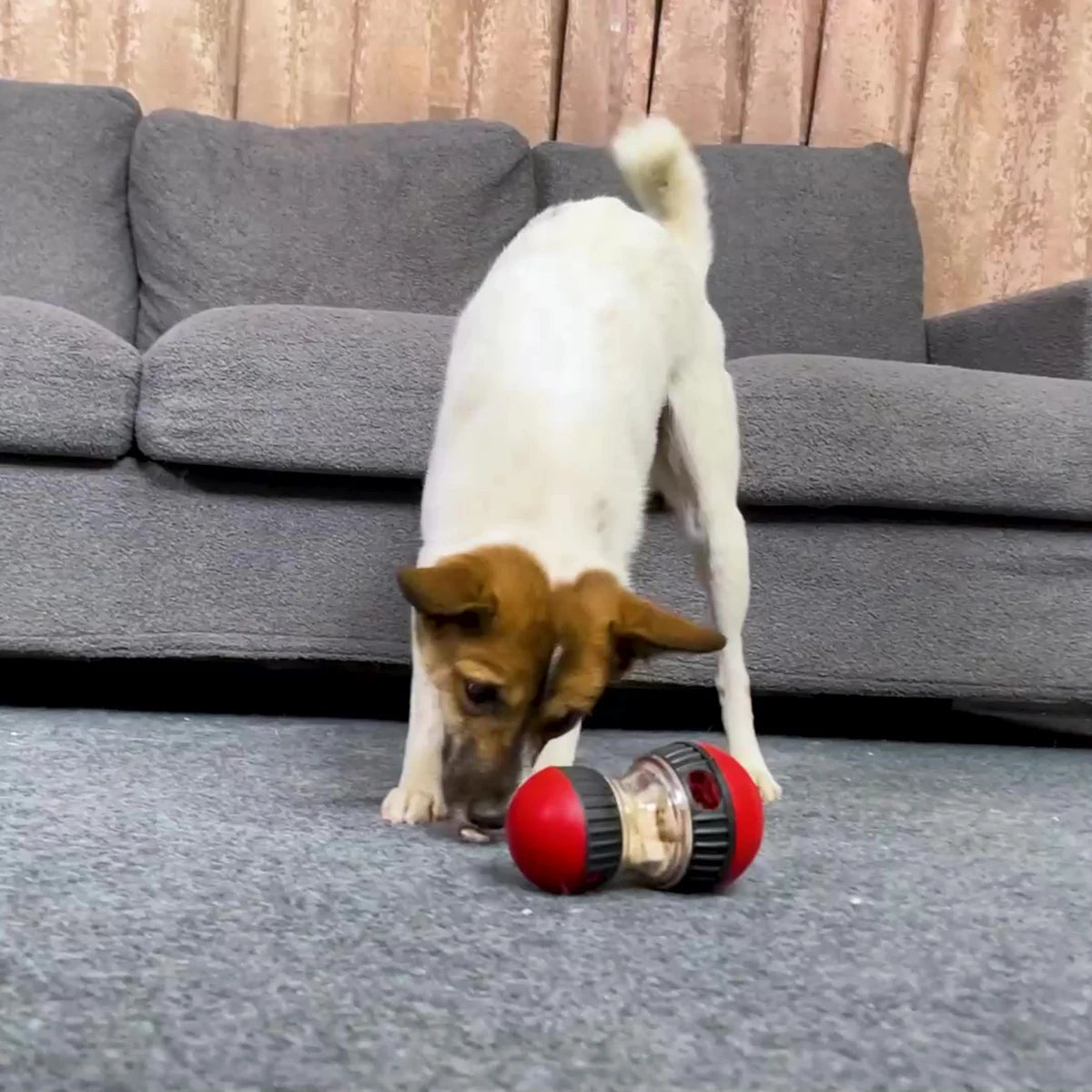 Interactive Treat Dispensing Ball for Dogs – Fun, Durable, and IQ-Boosting
