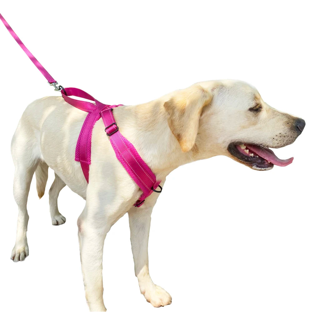 Durable Reflective Dog Halter Harness with Secure Fit