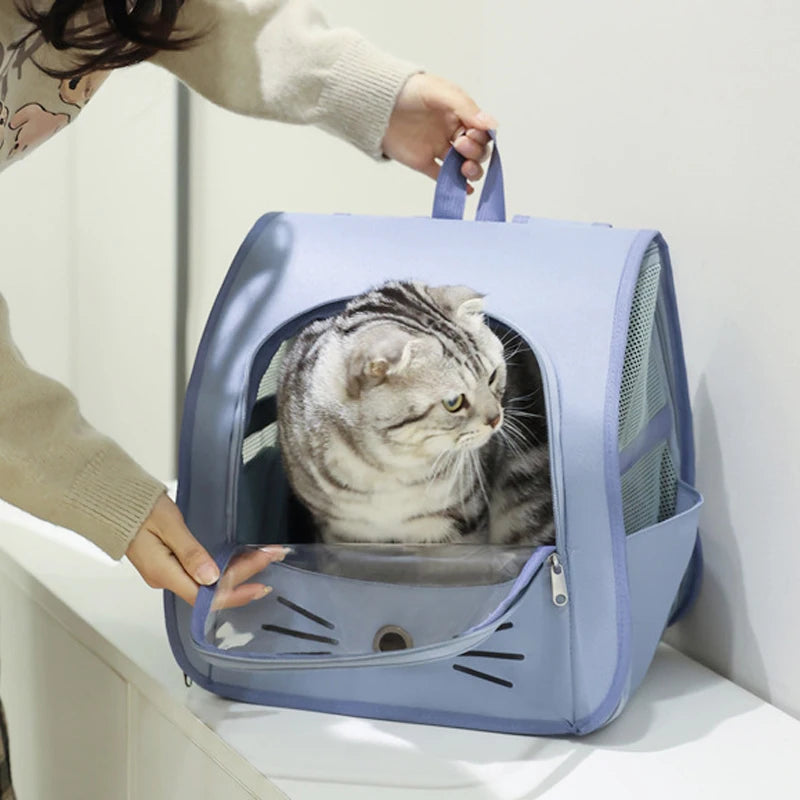 Transparent portable travel backpack for cats and small dogs, breathable shoulder carrier with mesh sides and front window for pet travel comfort.